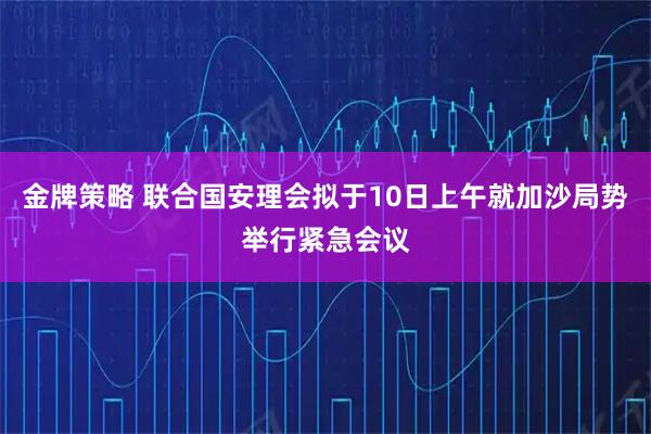 金牌策略 联合国安理会拟于10日上午就加沙局势举行紧急会议