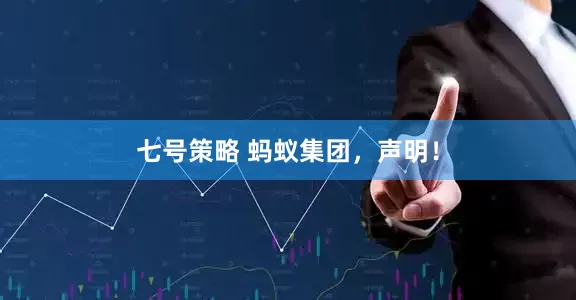 七号策略 蚂蚁集团，声明！