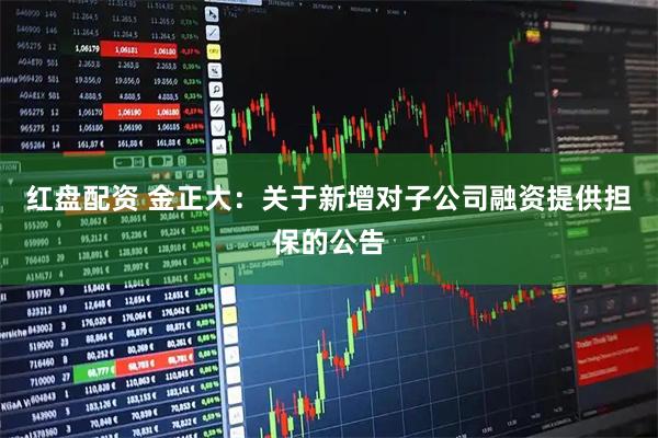 红盘配资 金正大：关于新增对子公司融资提供担保的公告