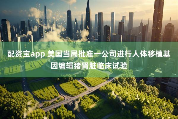 配资宝app 美国当局批准一公司进行人体移植基因编辑猪肾脏临床试验